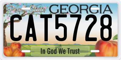 GA license plate CAT5728