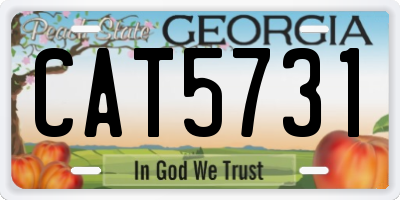 GA license plate CAT5731