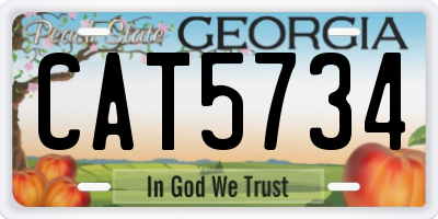 GA license plate CAT5734
