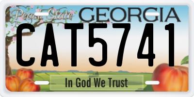 GA license plate CAT5741