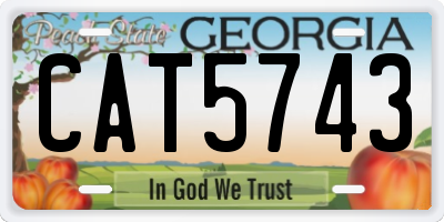 GA license plate CAT5743