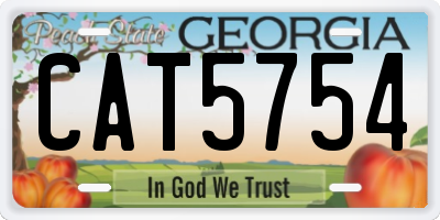 GA license plate CAT5754