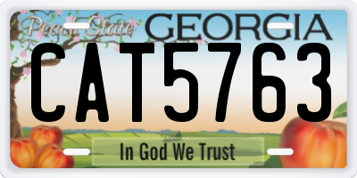 GA license plate CAT5763