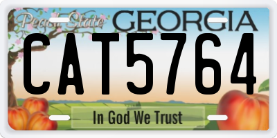 GA license plate CAT5764