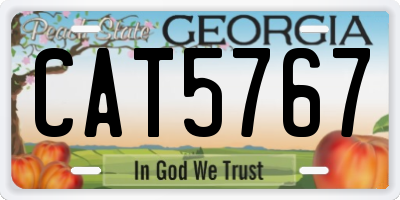 GA license plate CAT5767