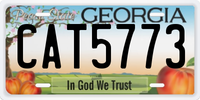 GA license plate CAT5773
