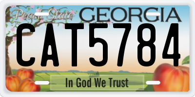 GA license plate CAT5784