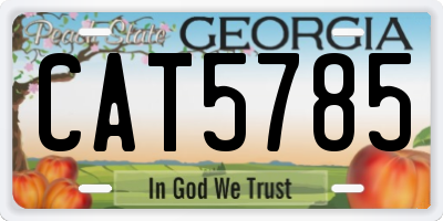 GA license plate CAT5785