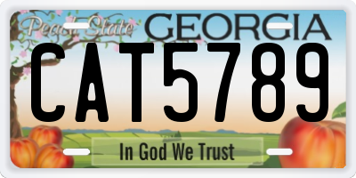 GA license plate CAT5789