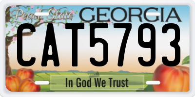 GA license plate CAT5793