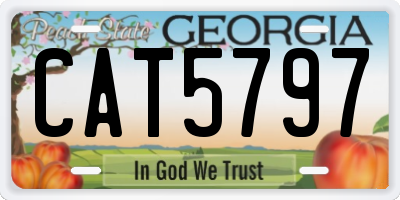 GA license plate CAT5797
