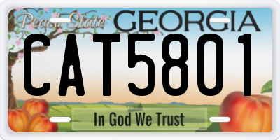 GA license plate CAT5801