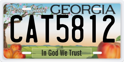 GA license plate CAT5812