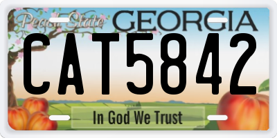 GA license plate CAT5842