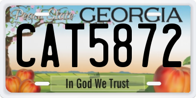 GA license plate CAT5872