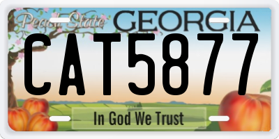 GA license plate CAT5877