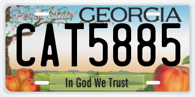 GA license plate CAT5885
