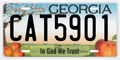 GA license plate CAT5901