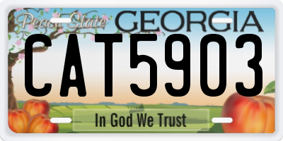 GA license plate CAT5903