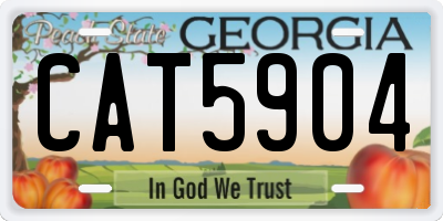 GA license plate CAT5904