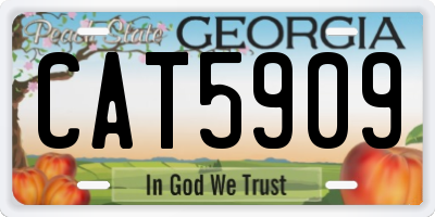 GA license plate CAT5909