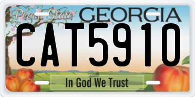 GA license plate CAT5910