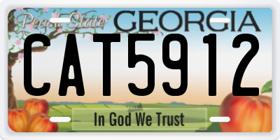 GA license plate CAT5912