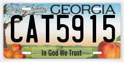 GA license plate CAT5915