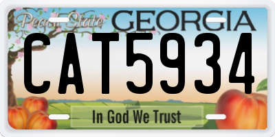 GA license plate CAT5934