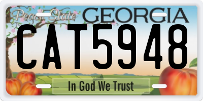 GA license plate CAT5948