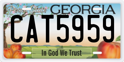 GA license plate CAT5959