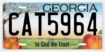 GA license plate CAT5964