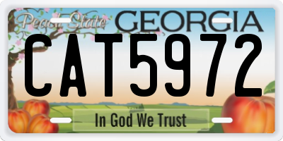 GA license plate CAT5972