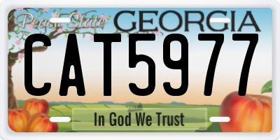 GA license plate CAT5977