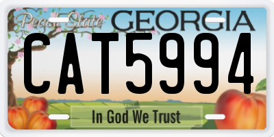 GA license plate CAT5994