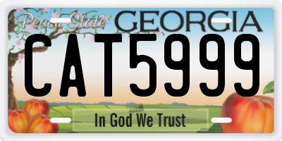GA license plate CAT5999
