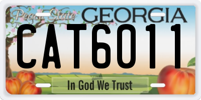 GA license plate CAT6011