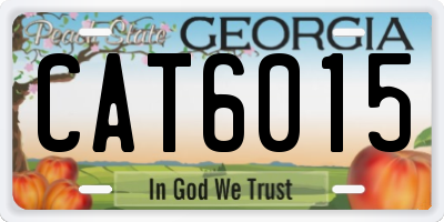 GA license plate CAT6015