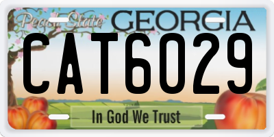 GA license plate CAT6029