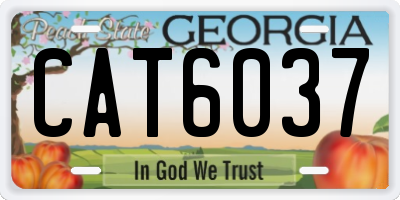 GA license plate CAT6037