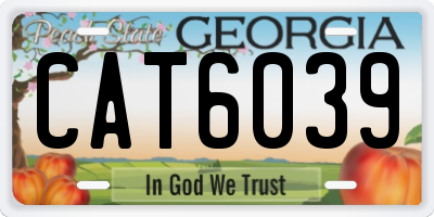 GA license plate CAT6039