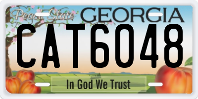 GA license plate CAT6048