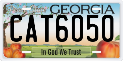 GA license plate CAT6050