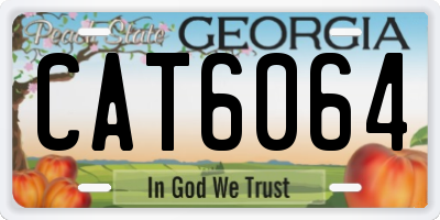 GA license plate CAT6064