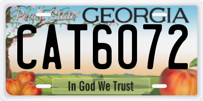 GA license plate CAT6072