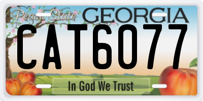 GA license plate CAT6077