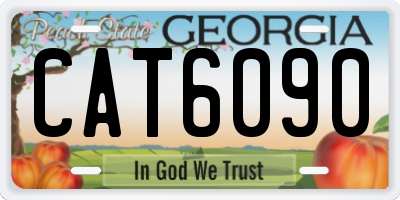 GA license plate CAT6090