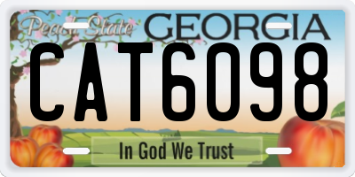 GA license plate CAT6098