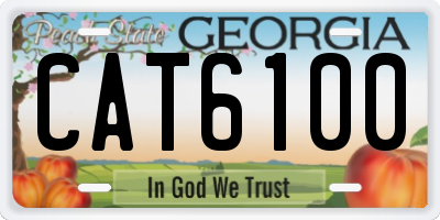 GA license plate CAT6100
