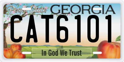 GA license plate CAT6101